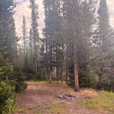 Review photo of Dispersed camping along Cliff Creek in Bridger-Teton National Forest by Jamie W., July 6, 2026