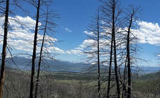 Marasha L.'s photo of a dispersed camping area at Dispersed Camping Apiatan Mtn near Rocky Mountain National Park