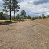 Review photo of Dispersed Camping around Sunset Crater Volcano NM by johny R., August 25, 2025