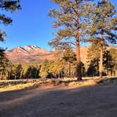 Review photo of Dispersed Camping around Sunset Crater Volcano NM by Travis K., April 4, 2026
