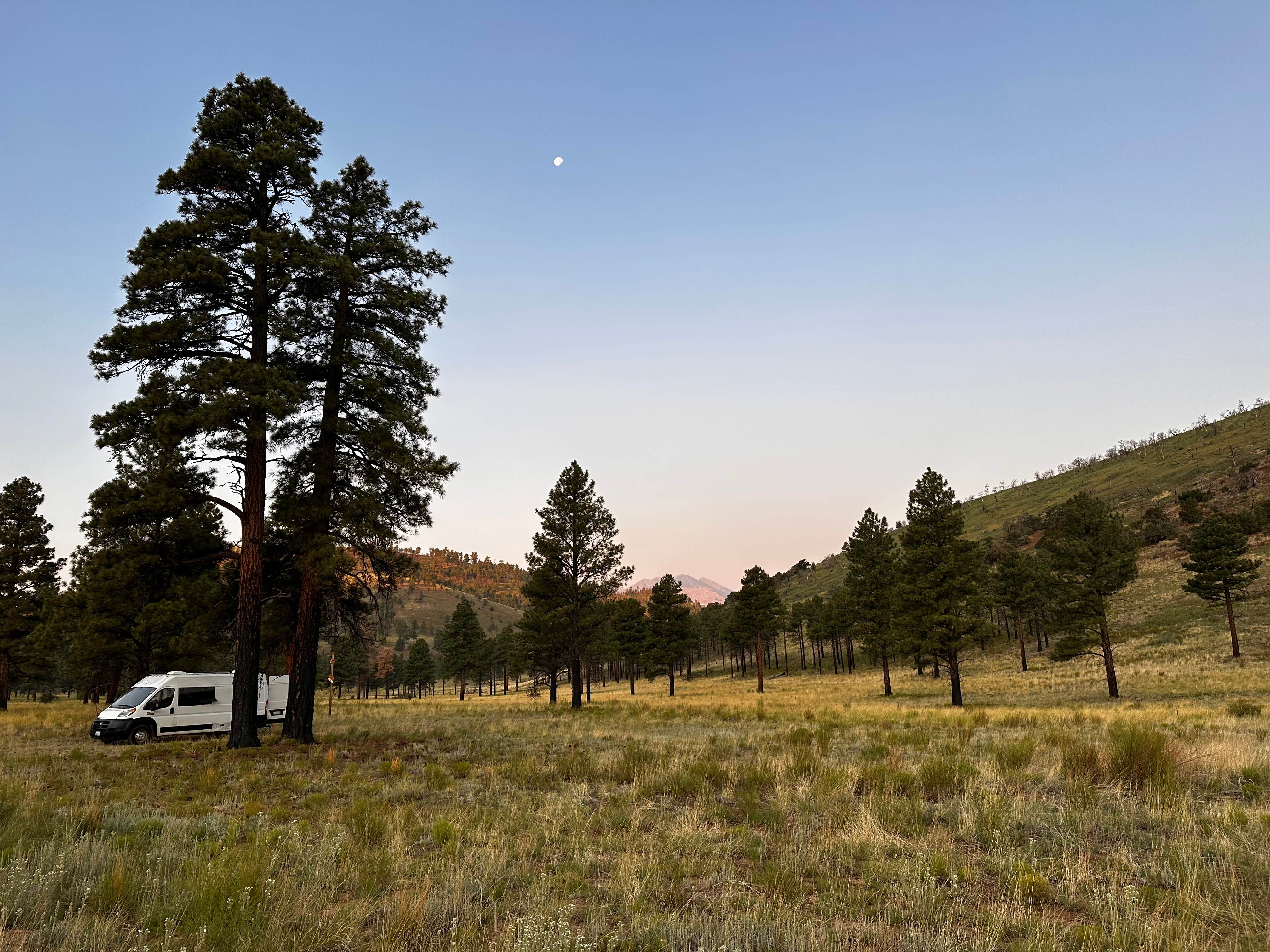 Camper-submitted photo at Dispersed Camping around Sunset Crater Volcano NM near Flagstaff, AZ
