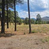 Review photo of Dispersed Camping around Sunset Crater Volcano NM by johny R., August 25, 2025
