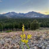 Review photo of Dispersed Camping around Sunset Crater Volcano NM by Emily , June 7, 2026