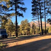 Review photo of Dispersed Camping around Sunset Crater Volcano NM by Travis K., April 4, 2026