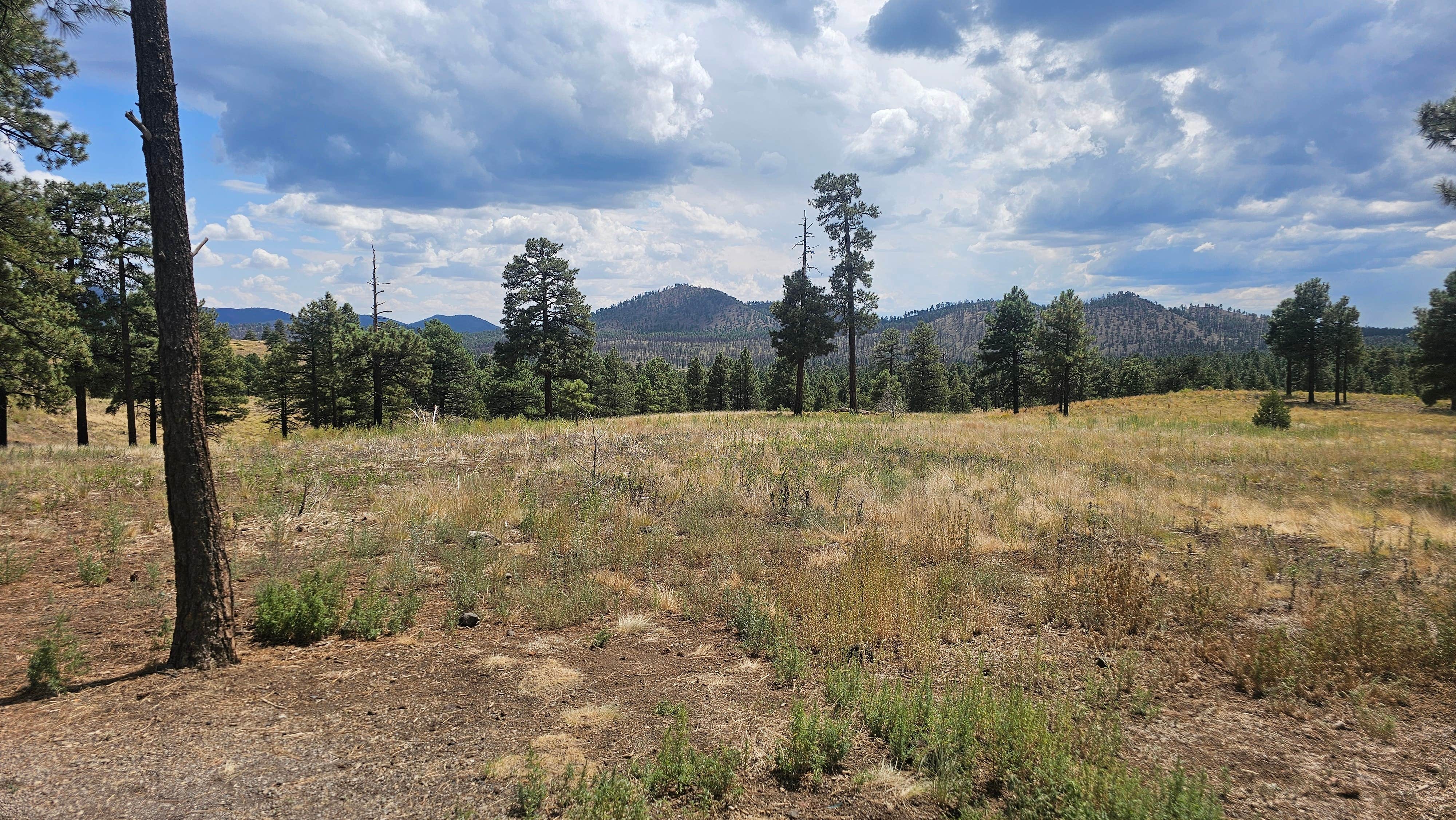 Dispersed Camping around Sunset Crater Volcano NM
