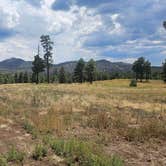 Review photo of Dispersed Camping around Sunset Crater Volcano NM by johny R., August 25, 2025