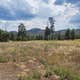 Dispersed Camping around Sunset Crater Volcano NM