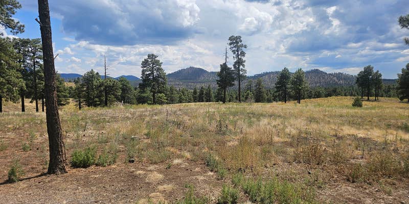 Camper submitted image from Dispersed Camping around Sunset Crater Volcano NM