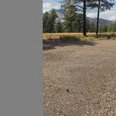 Review photo of Dispersed Camping around Sunset Crater Volcano NM by johny R., August 25, 2025