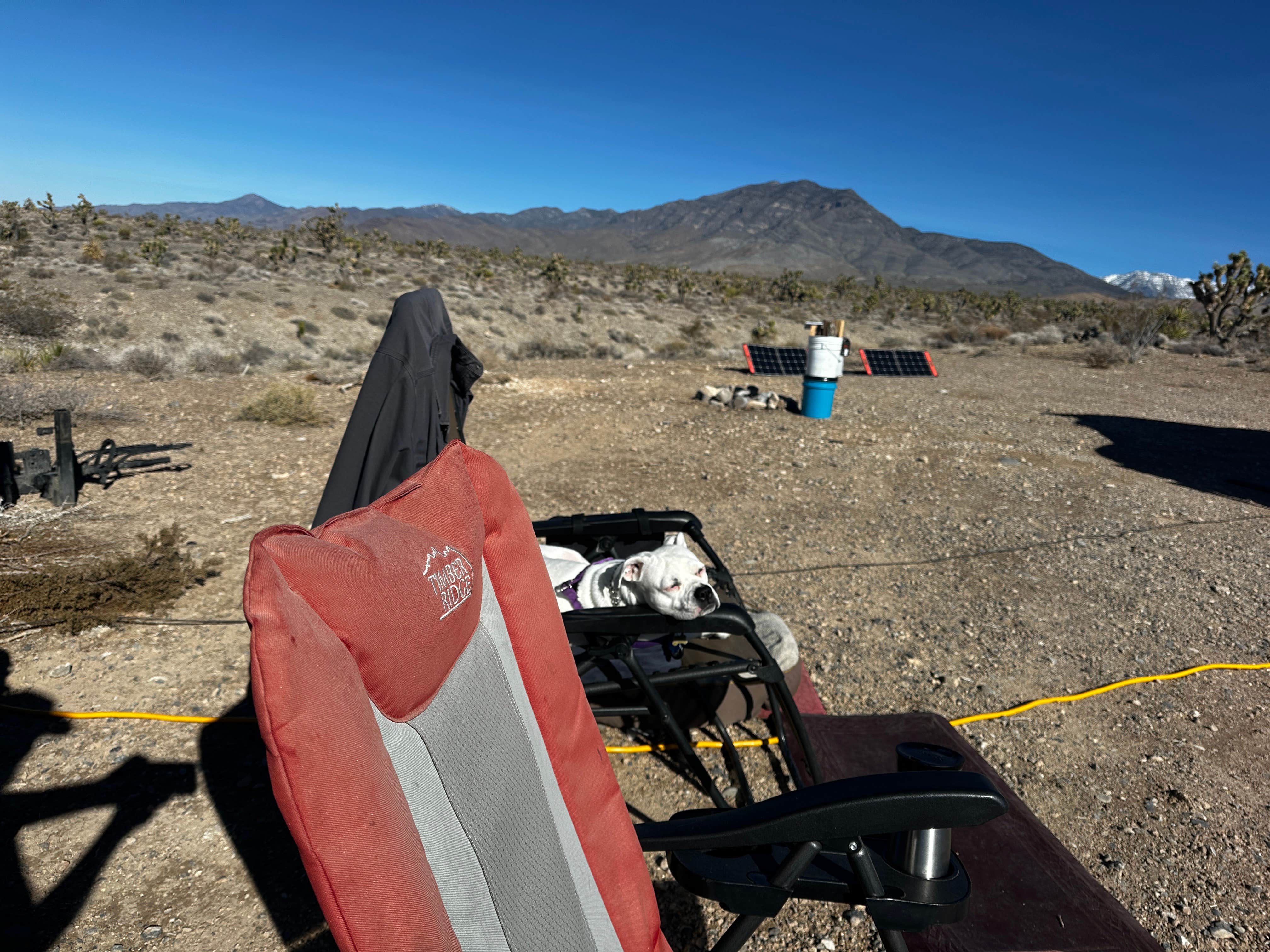 Camper submitted image from Dispersed camping at Mcr927512 Road - 4