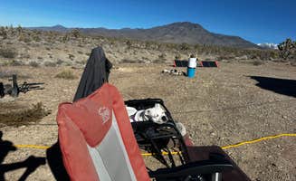 Patricia I.'s photo at Dispersed camping at Mcr927512 Road in Nevada