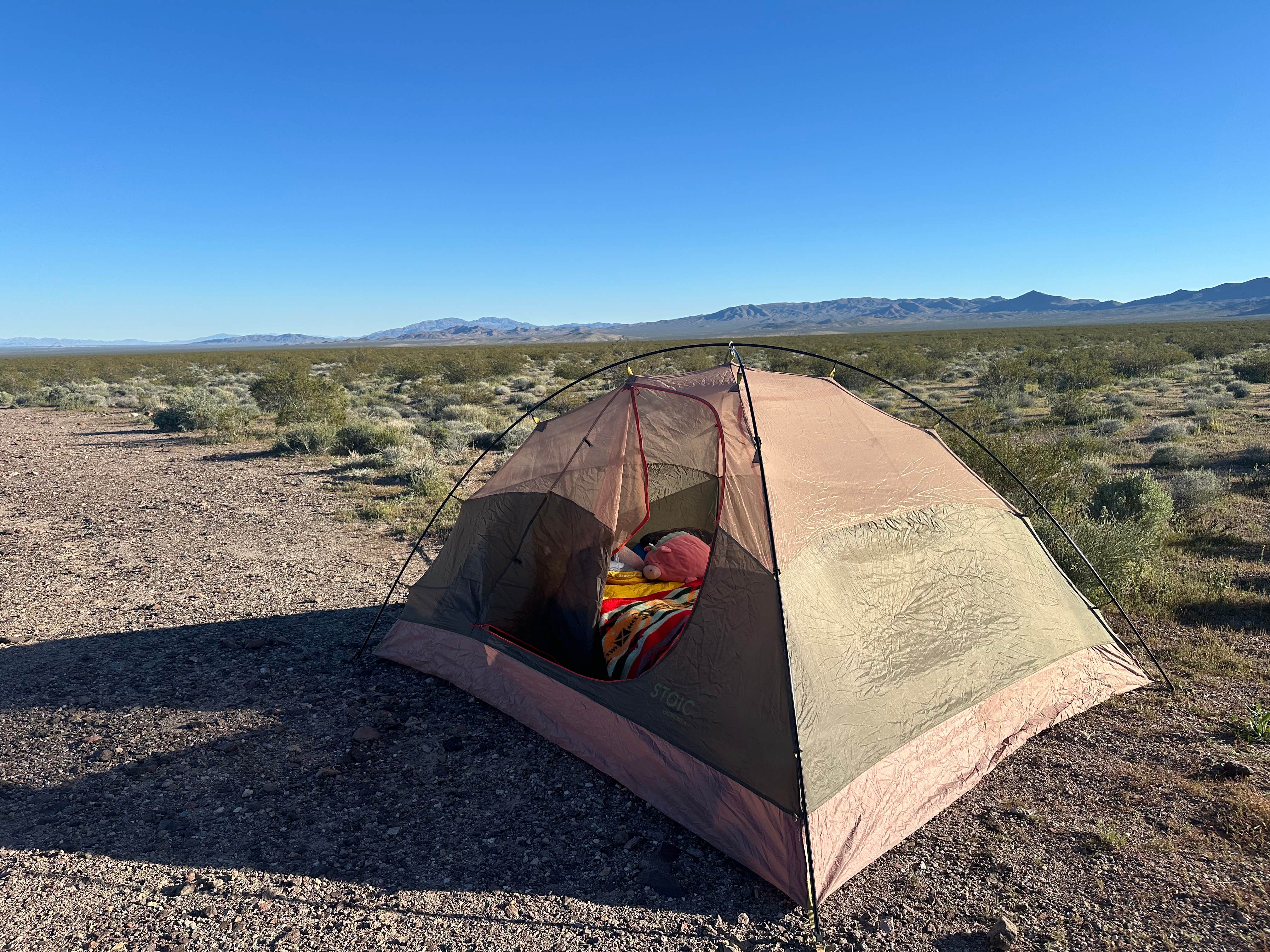 Camper-submitted photo at Dispersed camping at Mcr927512 Road near Amargosa Valley, NV