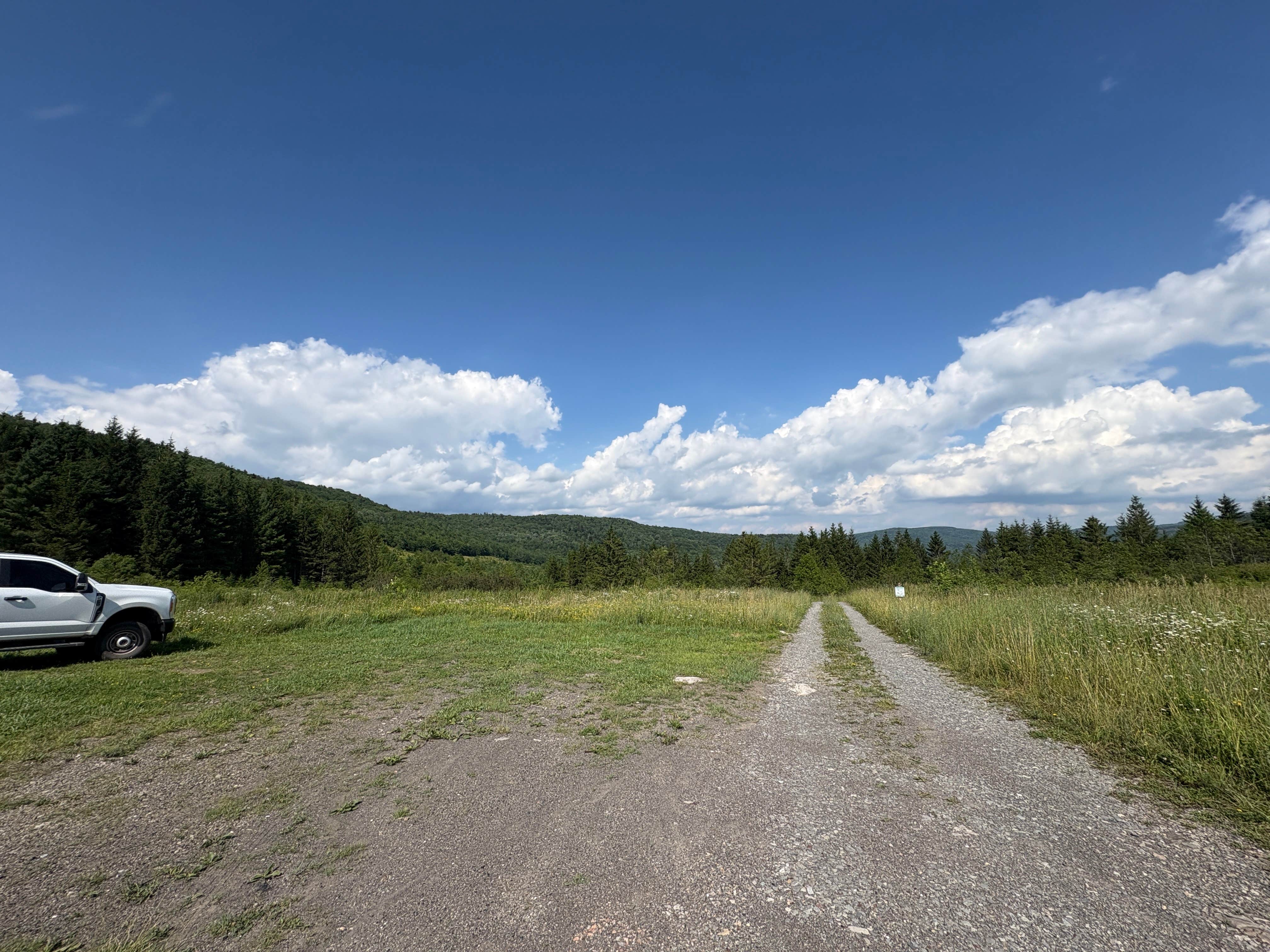 evan's photo of a dispersed camping area at Dispersed camping at Mower Basin near Glady, WV