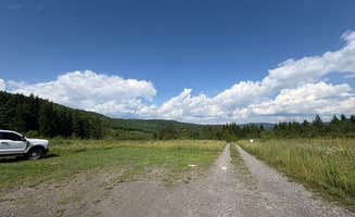 evan's photo of a dispersed camping area at Dispersed camping at Mower Basin near Marlinton, WV