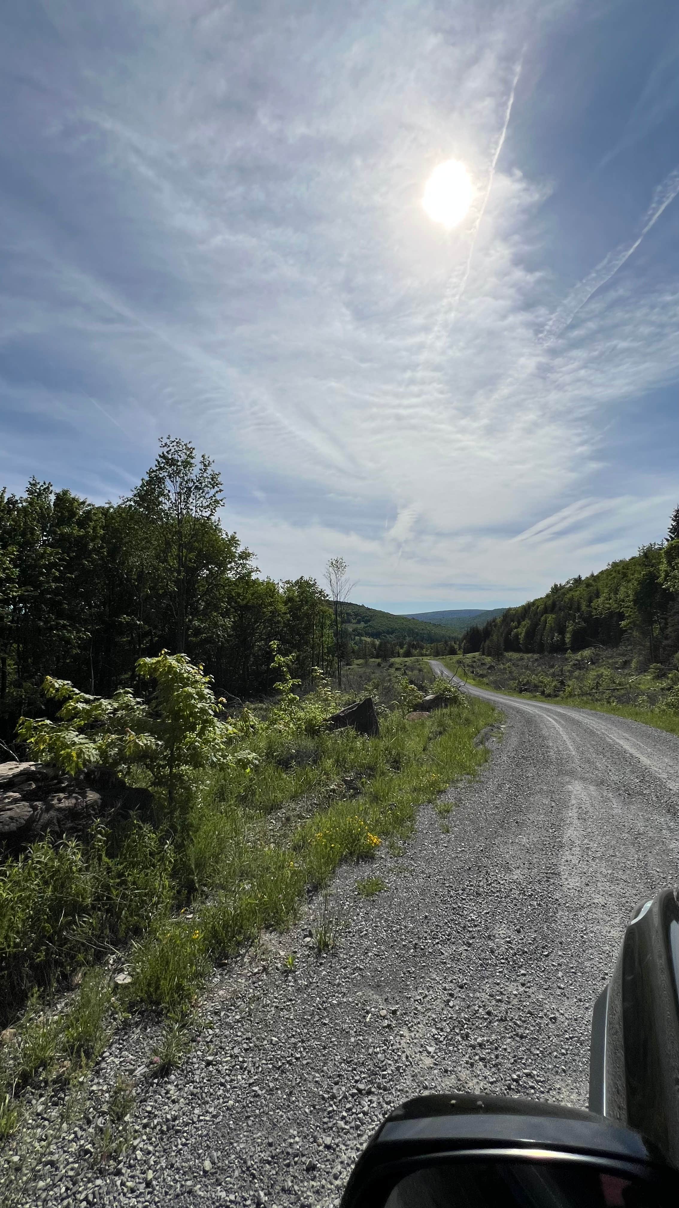 Waseem H.'s photo of a dispersed camping area at Dispersed camping at Mower Basin near Davis, WV