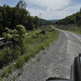 Review photo of Dispersed camping at Mower Basin by Waseem H., September 5, 2024