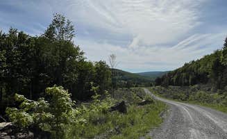 Waseem H.'s photo of a dispersed camping area at Dispersed camping at Mower Basin near Mount Clare, WV