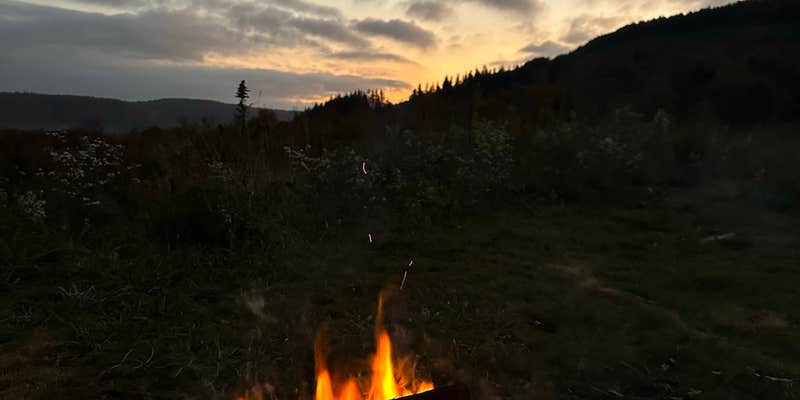 Camper submitted image from Dispersed camping at Mower Basin