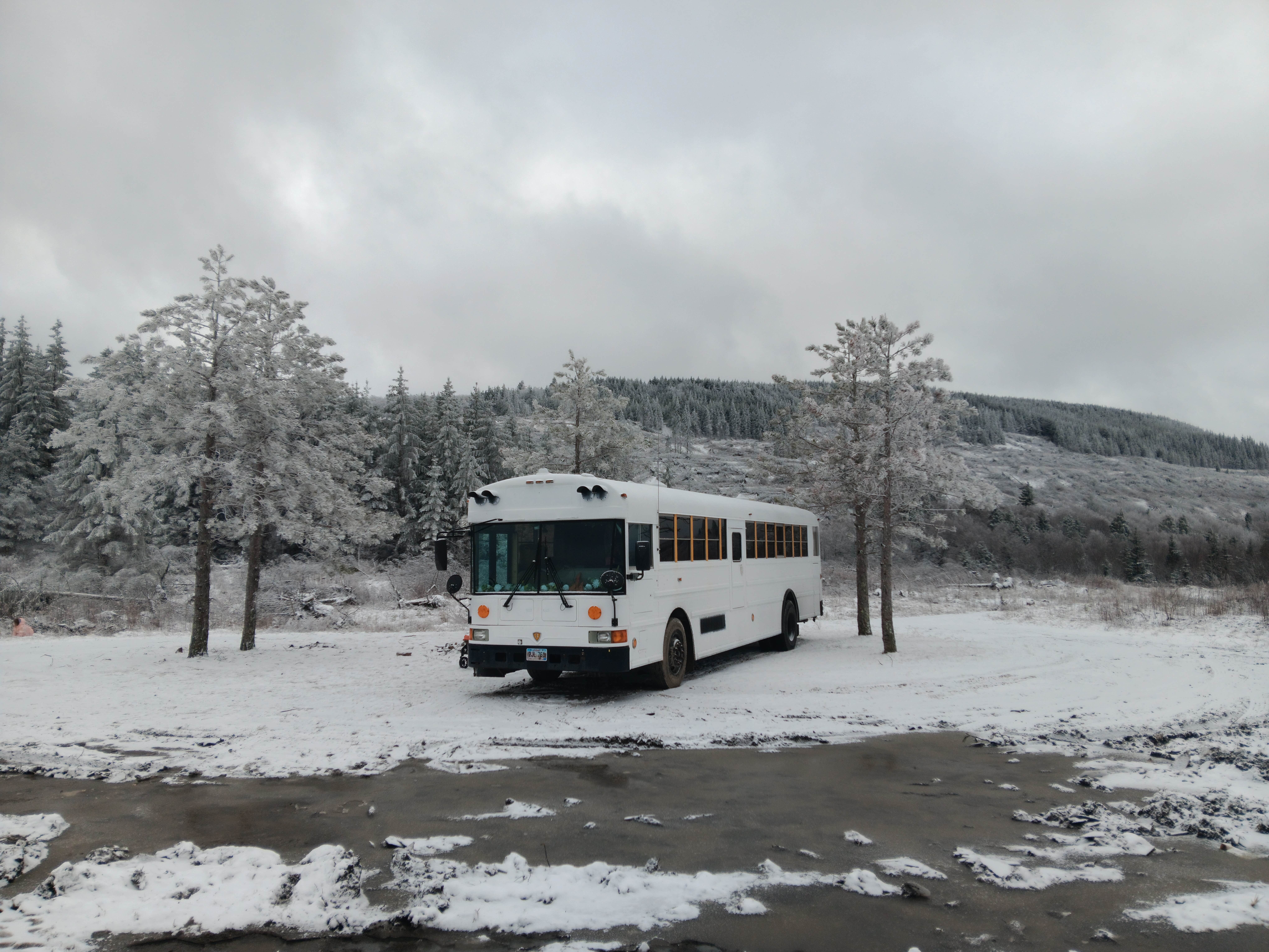 Camper-submitted photo at Dispersed camping at Mower Basin near Snowshoe, WV