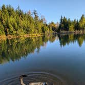 Review photo of Dispersed camping at Mower Basin by kacee W., October 10, 2026