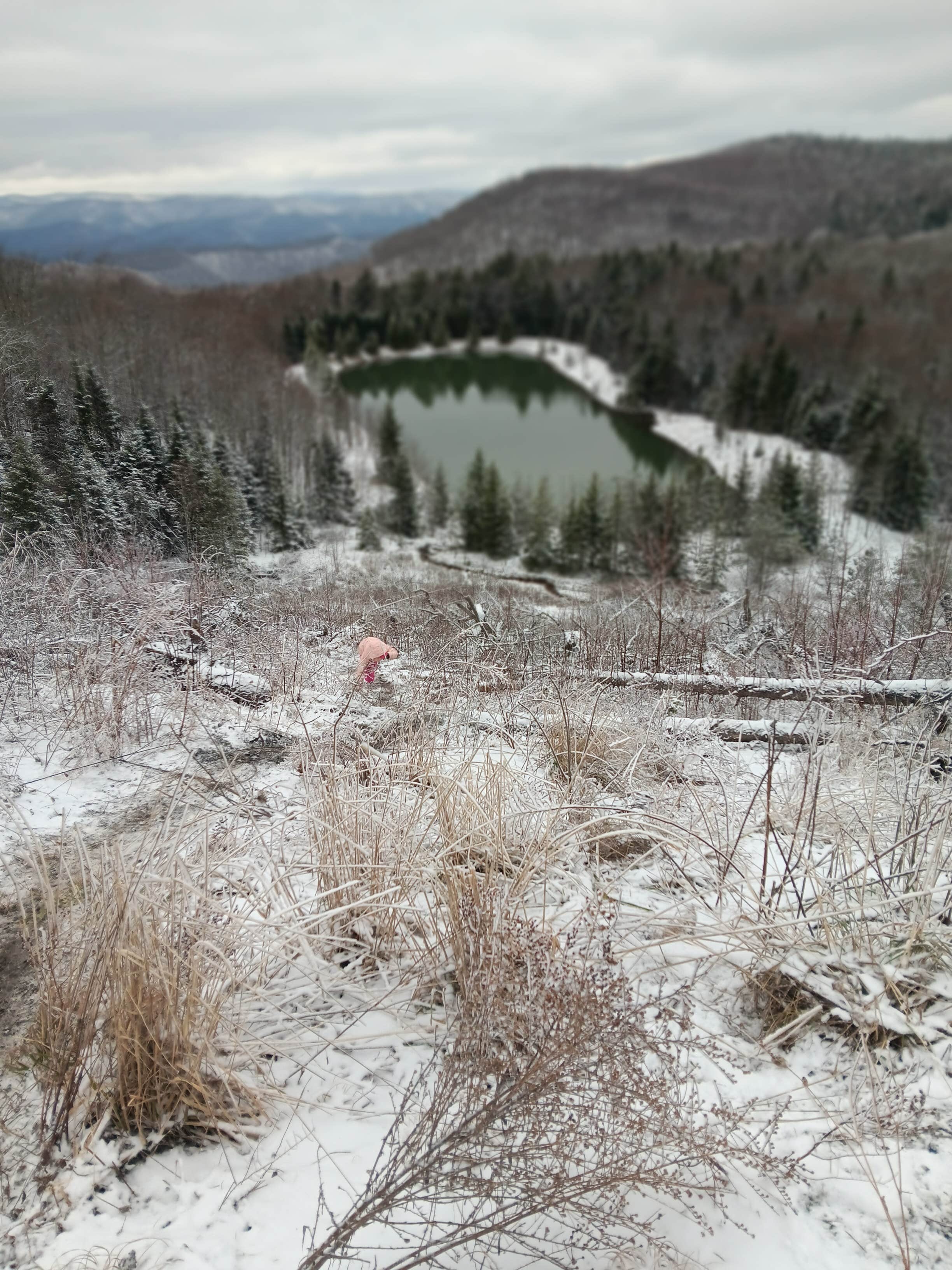 Jadon B.'s photo of a dispersed camping area at Dispersed camping at Mower Basin near Craigsville, WV