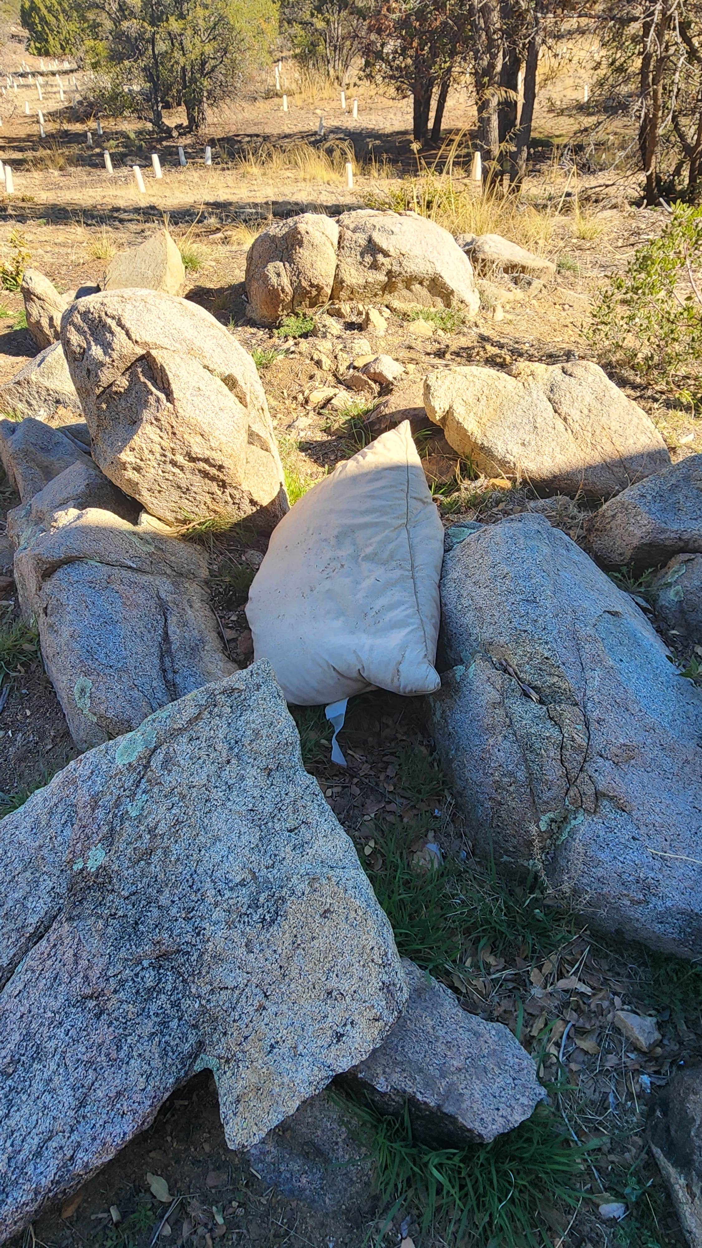 Camper-submitted photo at Prescott Basin - Ponderosa Park Road Dispersed Camping near Prescott, AZ