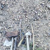 Review photo of Prescott Basin - Ponderosa Park Road Dispersed Camping by Carl W., March 13, 2026