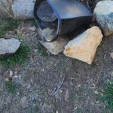 Review photo of Prescott Basin - Ponderosa Park Road Dispersed Camping by Carl W., March 13, 2026