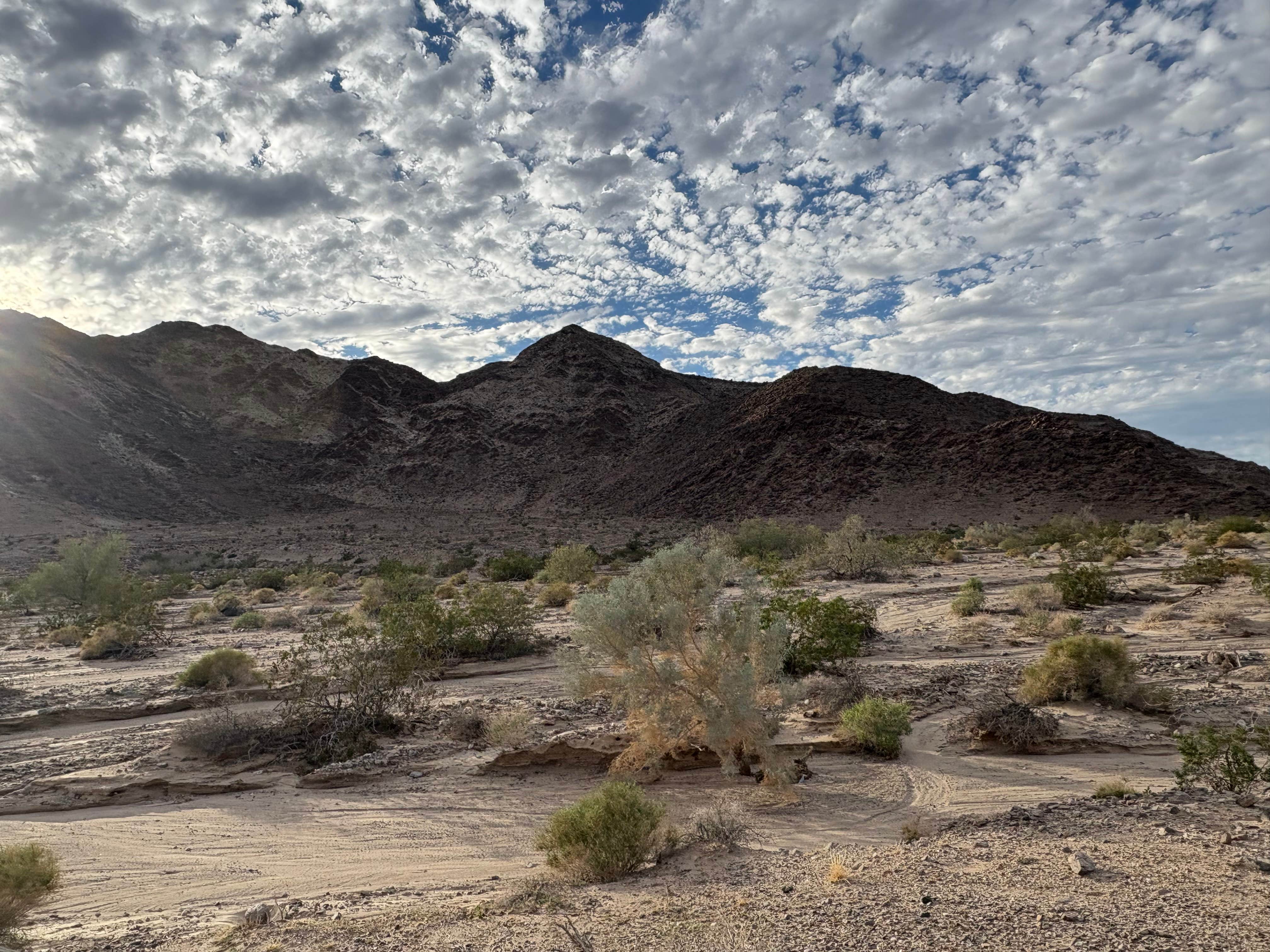 Camper-submitted photo at Dispersed Camping off Kelbaker Rd near Amboy, CA