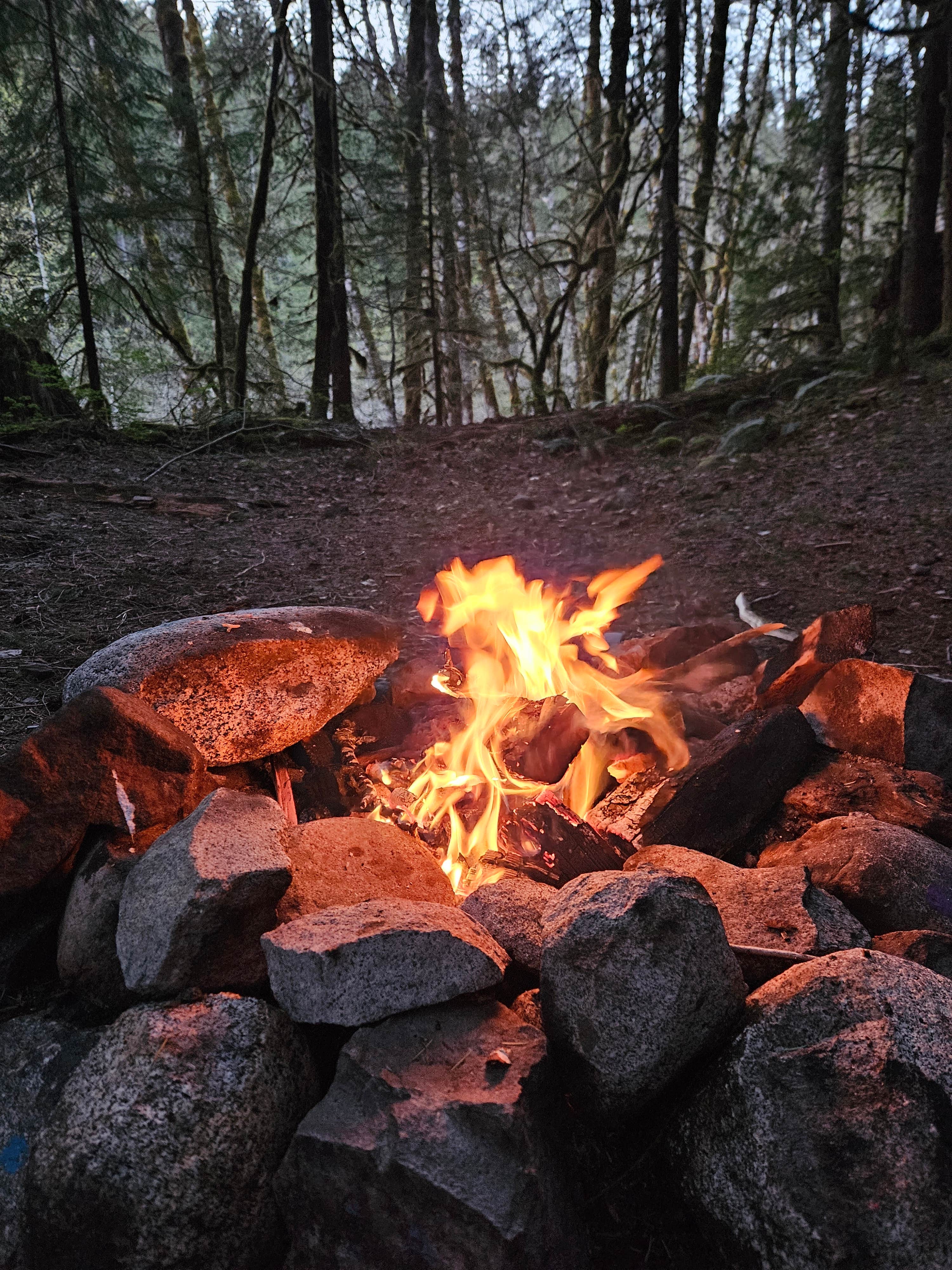 Camper submitted image from Dispersed Camping Beckler Creek - 1