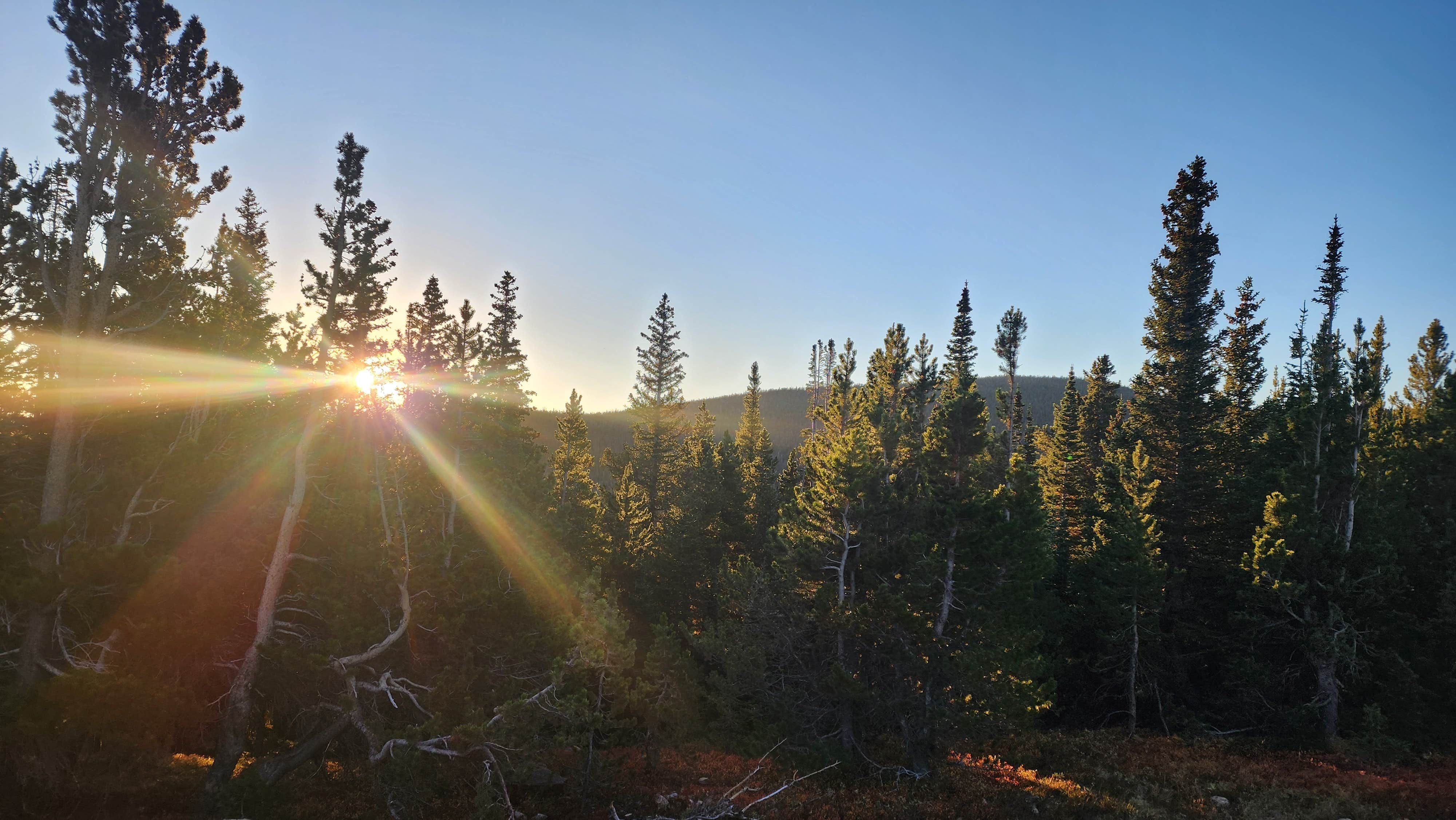 Drew M.'s photo of a dispersed camping area at Dispersed Camping Black Hawk near Central City, CO