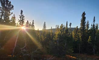 Drew M.'s photo of a dispersed camping area at Dispersed Camping Black Hawk near Evergreen, CO
