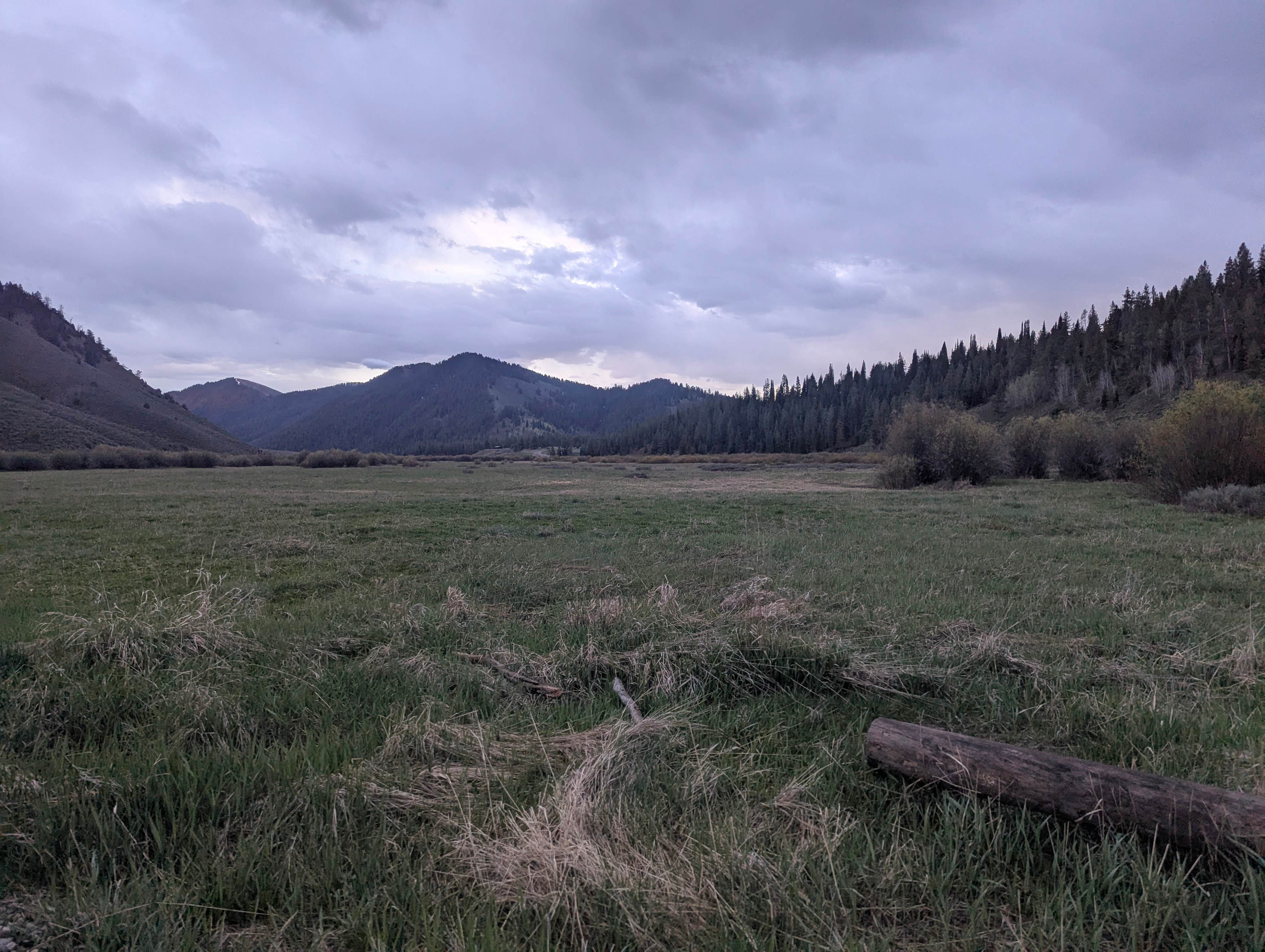 Camper submitted image from Dispersed Camping by Fall Creek Bridger-Teton - 1