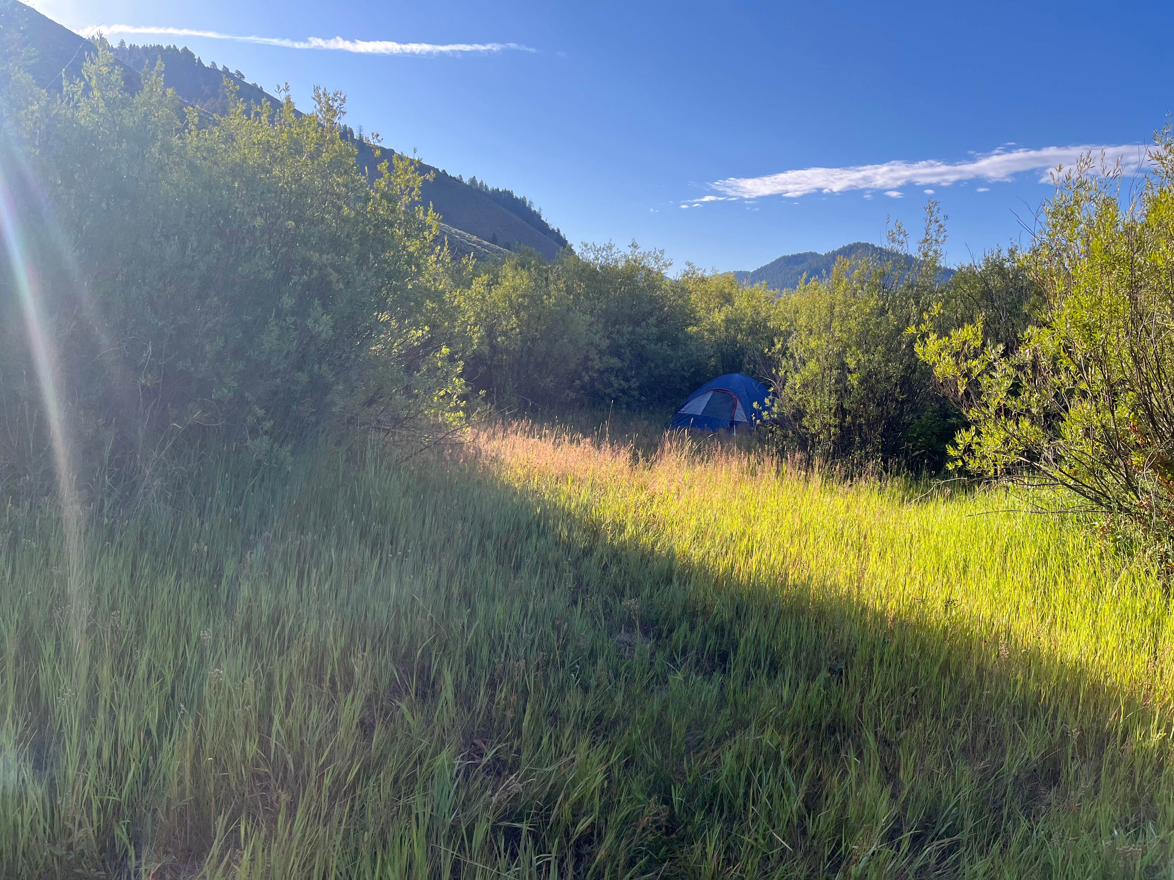 Camping near Jackson Hole/Snake River Park KOA: Dispersed Camping by Fall Creek Bridger-Teton, Jackson, Wyoming