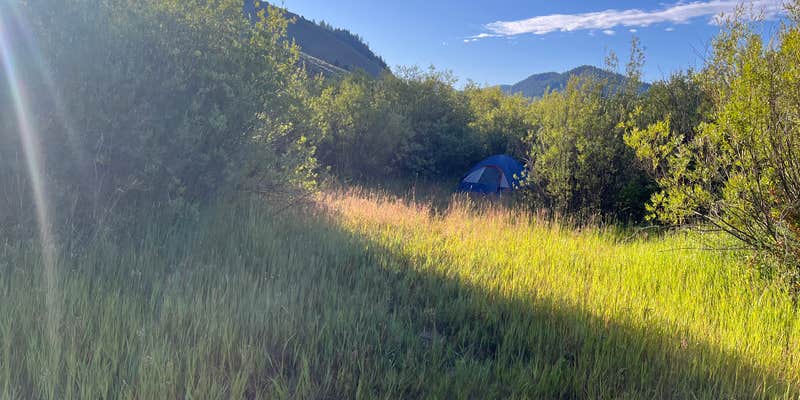 Camper submitted image from Dispersed Camping by Fall Creek Bridger-Teton