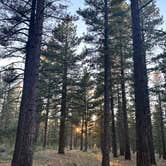 Review photo of Tahoe Dispersed Camping by steve D., September 27, 2025