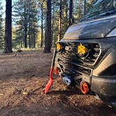 Review photo of Tahoe Dispersed Camping by steve D., September 27, 2025
