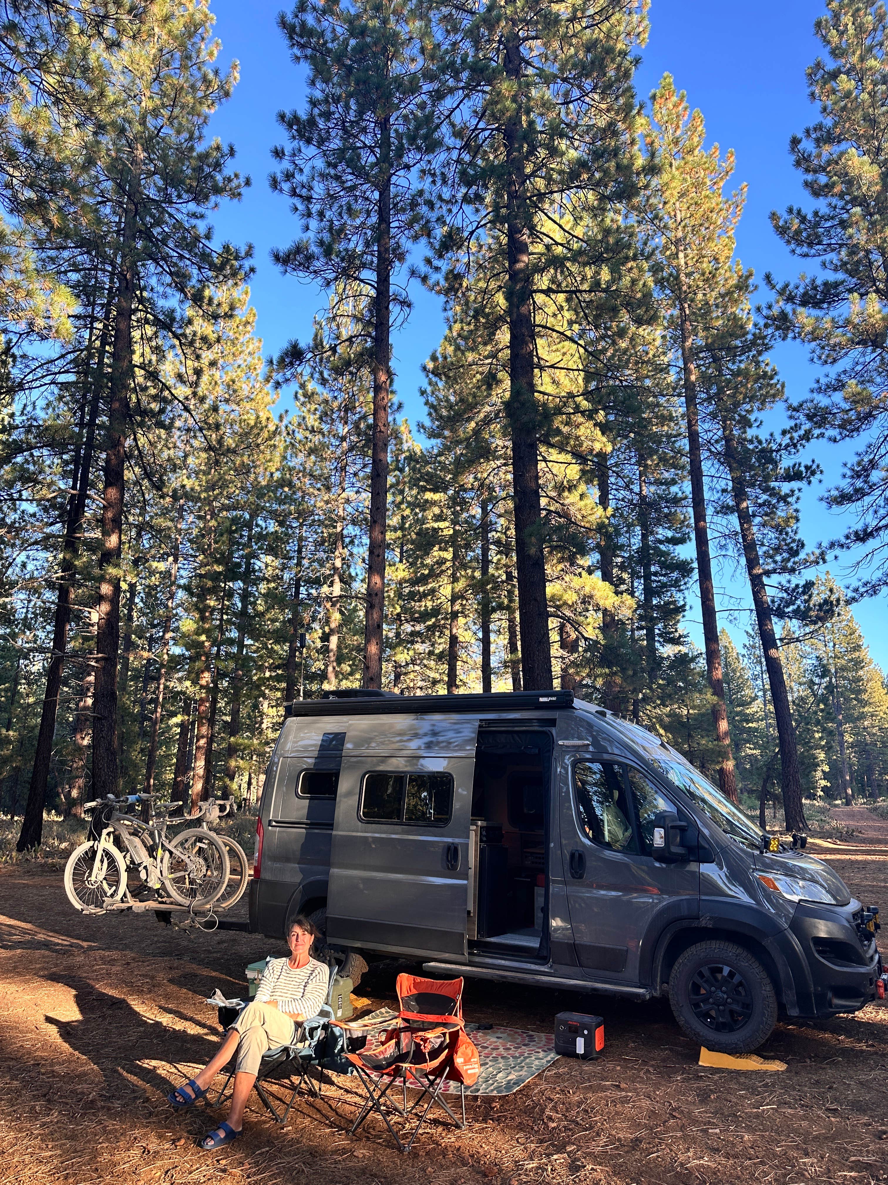 Camper submitted image from Tahoe Dispersed Camping - 3