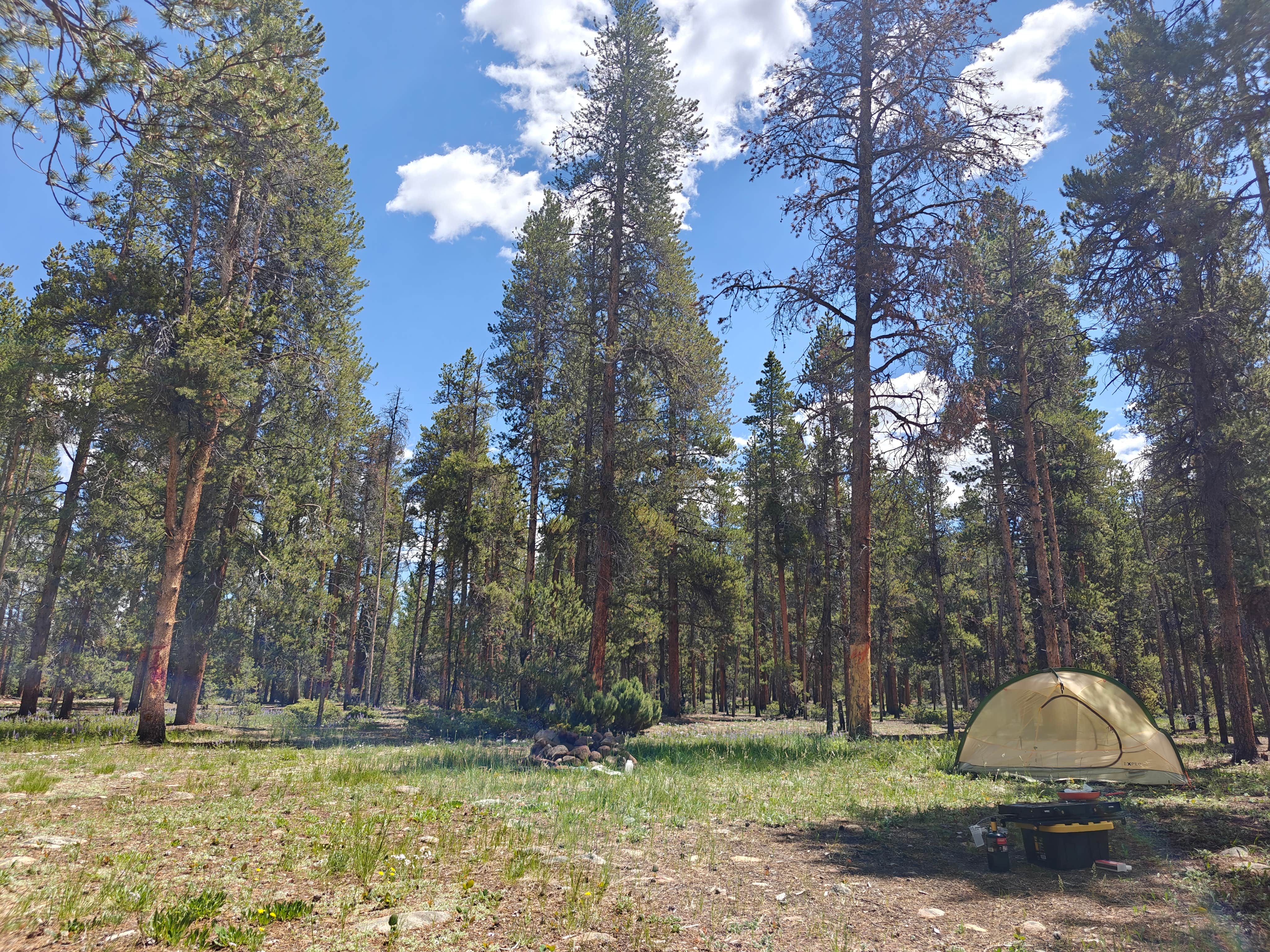 Camper submitted image from Dispersed Camping - Turquoise Lake - 1