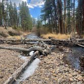 Review photo of Dispersed Camping - Turquoise Lake by Max P., May 2, 2026