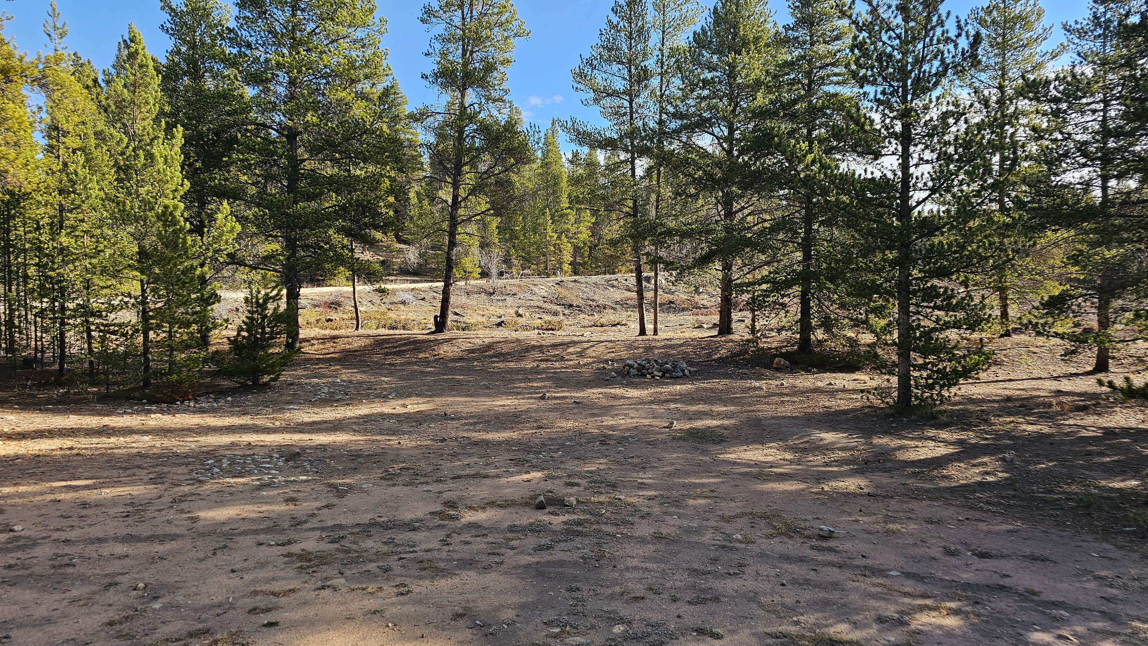 Camper-submitted photo at Dispersed Camping - Turquoise Lake near Leadville, CO