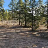 Review photo of Dispersed Camping - Turquoise Lake by johny R., October 23, 2025