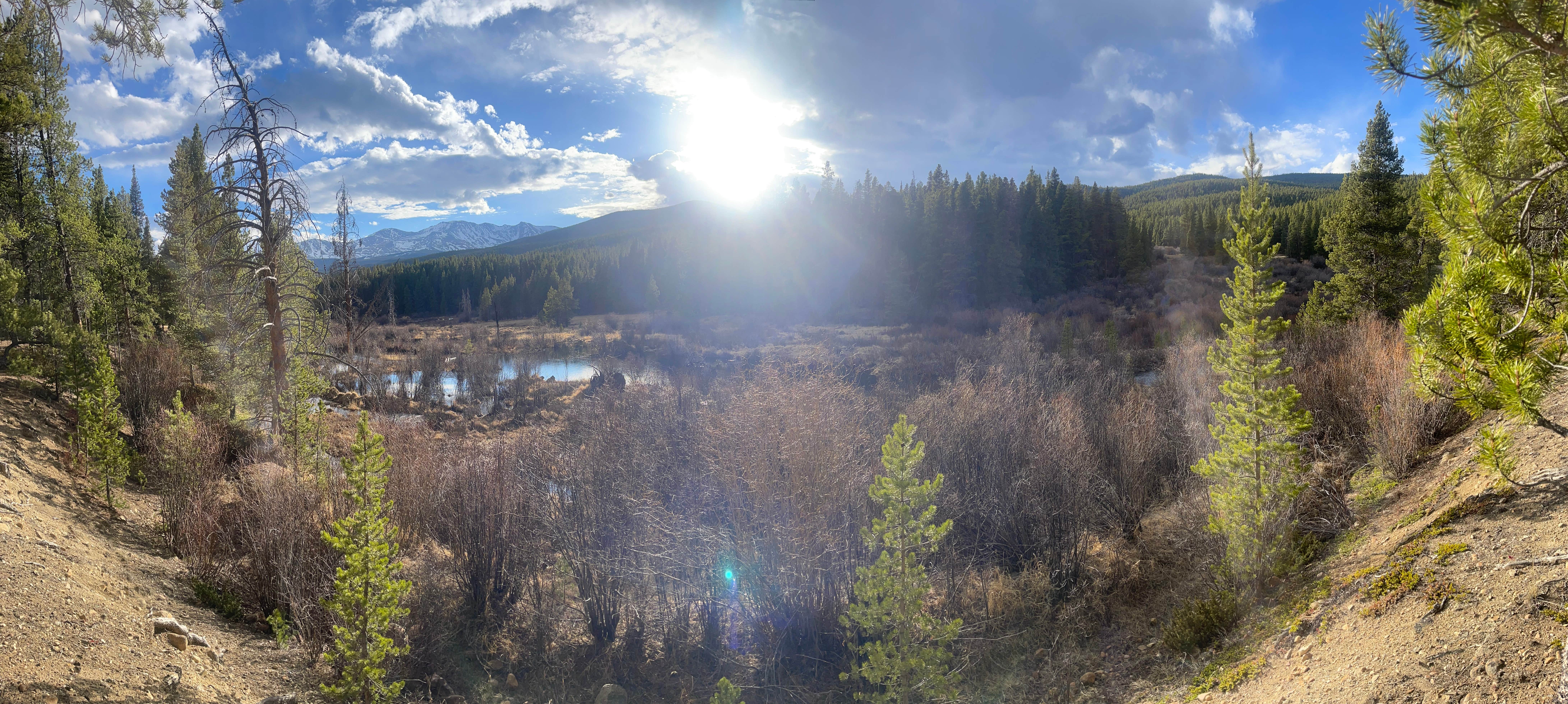 Camper-submitted photo at Dispersed Camping - Turquoise Lake near Leadville, CO