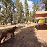 Review photo of Dispersed Camping - Turquoise Lake by Jesse , September 3, 2025