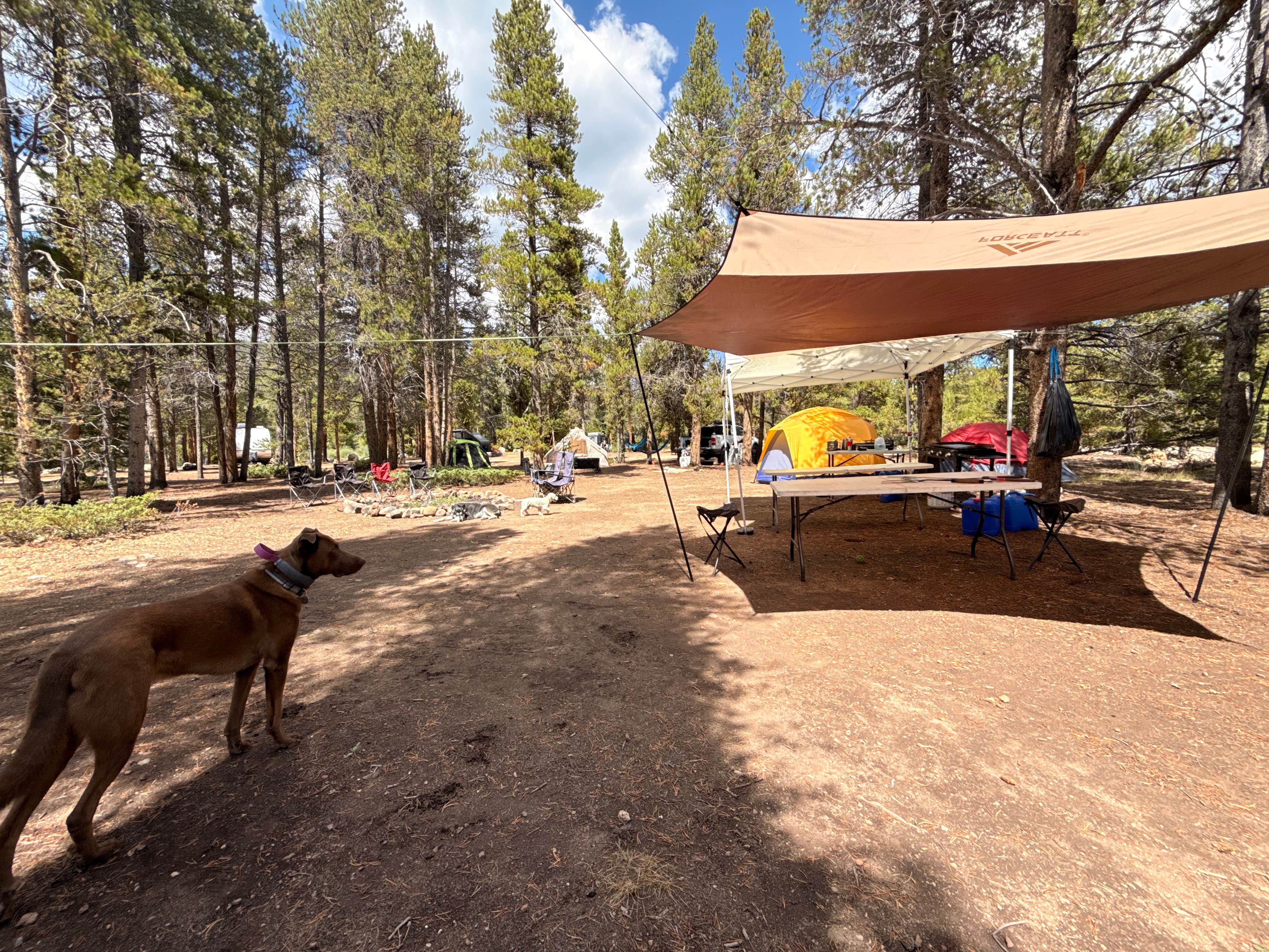 Camper submitted image from Dispersed Camping - Turquoise Lake - 4