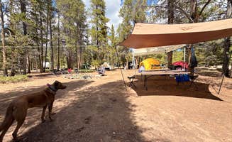 Jesse's photo of camping with pets at Dispersed Camping - Turquoise Lake near Climax, CO