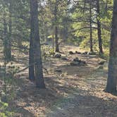 Review photo of Dispersed Camping - Turquoise Lake by johny R., October 23, 2025