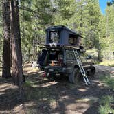 Review photo of Scotts Lake Rd Dispersed Camping by Blair K., June 21, 2024