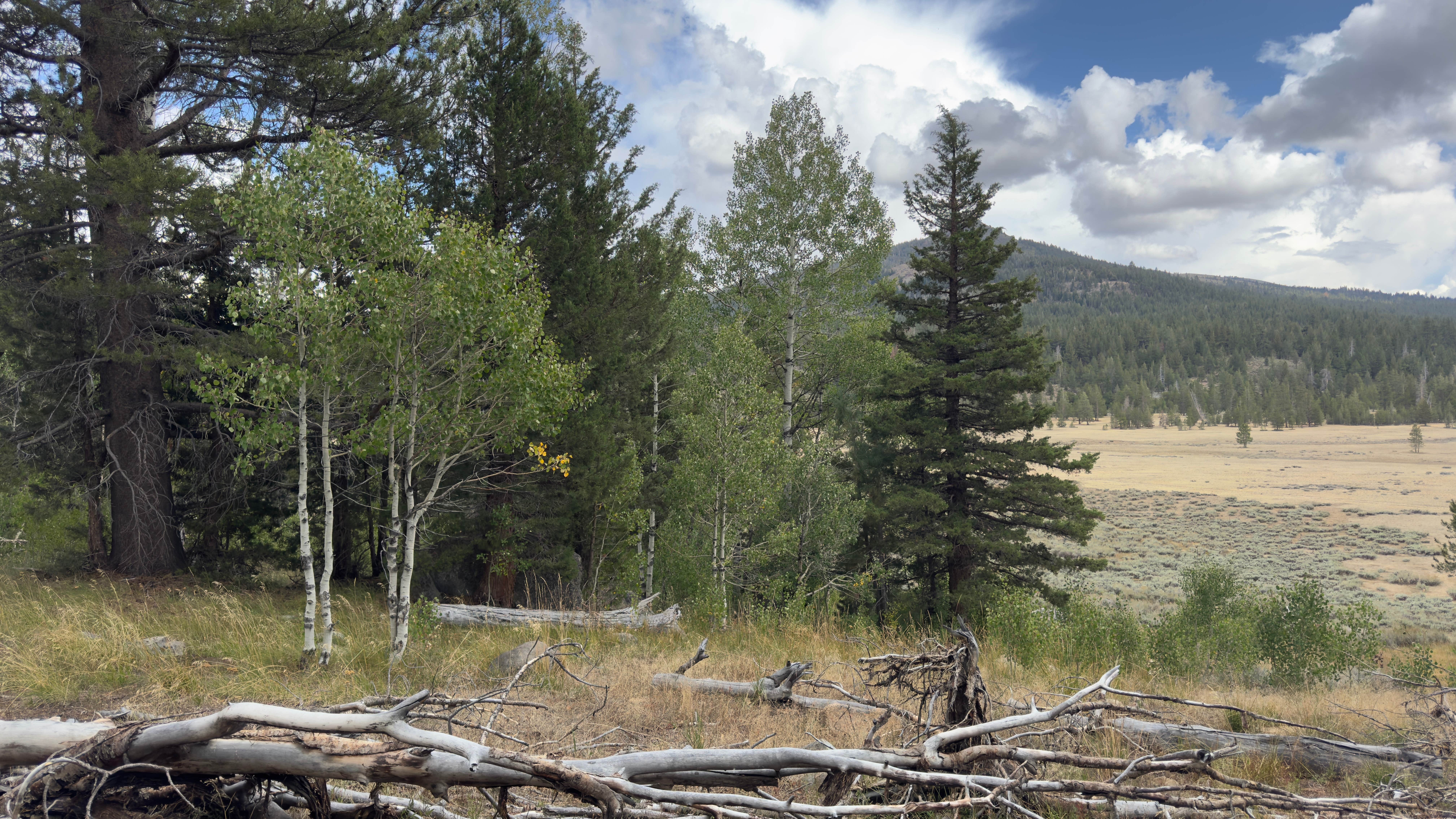 Camper-submitted photo at Scotts Lake Rd Dispersed Camping near Fort Jones, CA