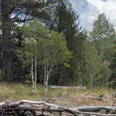 Review photo of Scotts Lake Rd Dispersed Camping by Victoria S., September 11, 2025